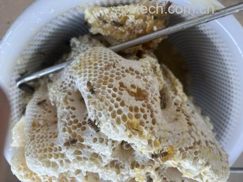 展示蜂蜡的不同食用方式,如咀嚼、冲泡、胶囊等 蜂蜡食用方式示意图
