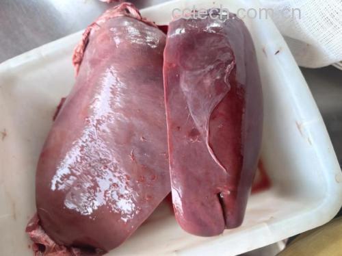 猪肝切片细节展示,肉质细腻呈暗红色 猪肝切片图