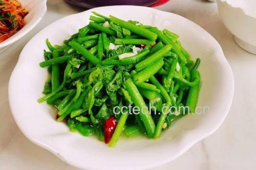 一盘清炒南瓜藤尖摆放在木质餐桌上,菜肴色泽翠绿,搭配蒜末点缀,旁边放有一双竹筷和一个小瓷碗,整体呈现家常健康饮食风格 图片描述