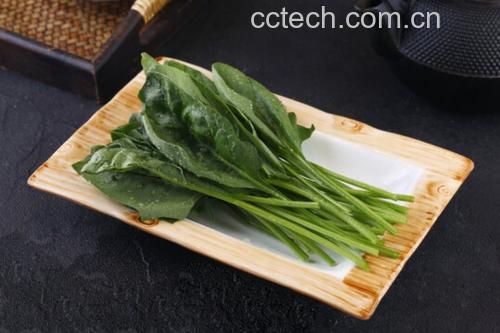 拍摄一根刚蒸好的菠菜卷被横向切开,露出清晰的内馅层次:绿色菠菜、橙色胡萝卜、透明粉丝和黄色蛋丝交织分布,盘子旁配有酱油碟和筷子,背景虚化体现家庭餐桌氛围 成品菠菜卷切开展示内部结构