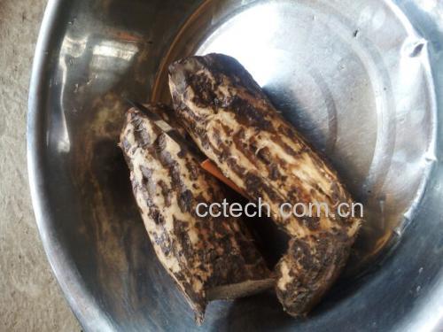 新鲜葛根与白萝卜摆放在案板上,准备切片处理 葛根与白萝卜搭配图