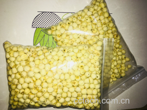 展示干净干燥的莲子,颗粒饱满,颜色偏白带淡黄 莲子实物图
