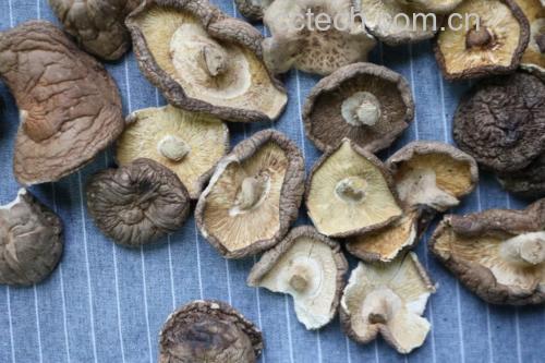 展示干香菇泡发前后的对比,左侧为干香菇,右侧为泡发后的香菇,背景为厨房环境 干香菇泡发过程图