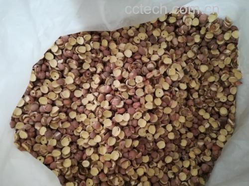 红皮莲子养生食谱示意图,展示莲子粥、莲子汤、莲子茶等多种做法 红皮莲子养生食谱示意图