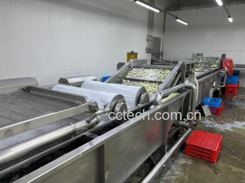 展示新鲜西葫芦与蘑菇的清洗、切片过程,厨房操作台干净整洁 西葫芦与蘑菇清洗与切配过程