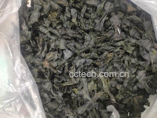 新鲜绿豆与干海带食材展示 绿豆和海带食材展示