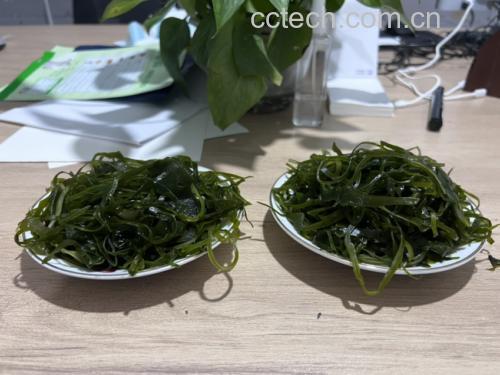 新鲜海带被切丝后与调料拌匀,装盘呈现,旁边摆放着调味料和厨房工具 海带凉拌与烹饪场景图