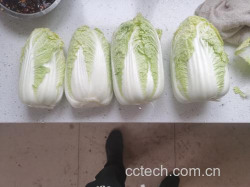 娃娃菜被切碎后放入碗中,旁边有滤网用于脱水,手正在轻轻挤压菜泥 娃娃菜切碎与脱水过程图