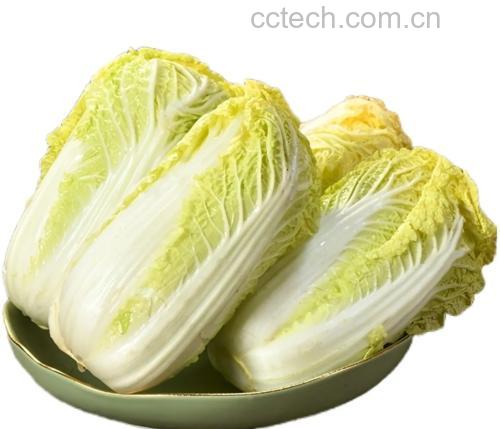 一锅热气腾腾的娃娃菜饺子刚出锅,饺子皮晶莹剔透,隐约可见里面的绿色馅料 煮饺子成品图