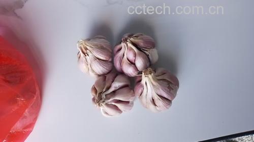 高清微距摄影:左侧为新鲜采摘的山东寿光紫长茄横切片,果皮呈均匀深紫黑色、蜡质层明显;右侧为现剥现捣的新鲜白皮大蒜制成的细腻蒜泥,质地湿润无水分析出;两者分置青釉粗陶小碟,背景为竹制砧板纹理 紫长茄切片与新鲜蒜泥特写,紫黑色茄皮油亮完整,蒜泥呈乳白色微透明糊状,两者未混合但并置在青色粗陶盘中