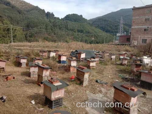 蜂蜜营养成分图示,展示主要成分如葡萄糖、果糖、维生素、酶类等 蜂蜜营养价值图解