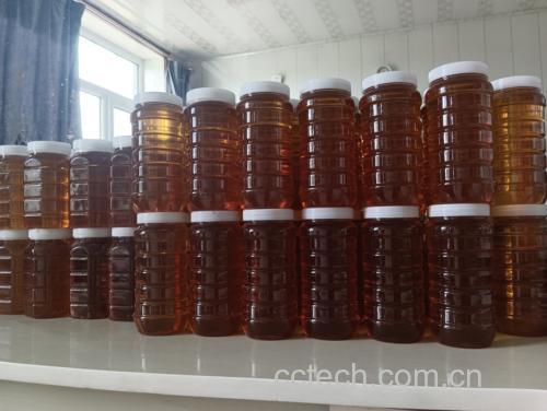 图片说明:三种不同颜色的蜂蜜瓶装产品摆放整齐,标签清晰可见,背景为厨房环境 不同种类蜂蜜瓶装展示
