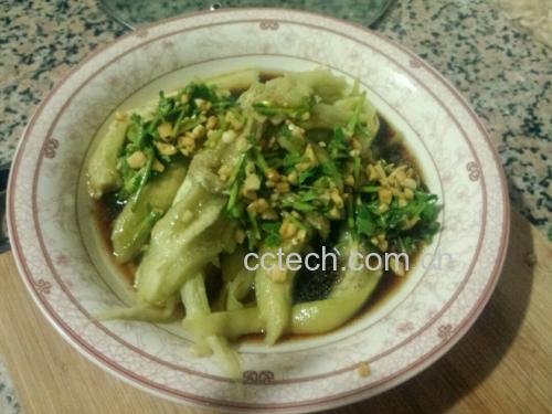一道家常清蒸紫皮茄子,切成条状摆盘,表面略带光泽,淋有少量蒜蓉酱汁,旁边点缀香葱末,体现健康低油的烹饪方式 清蒸紫皮茄子菜肴
