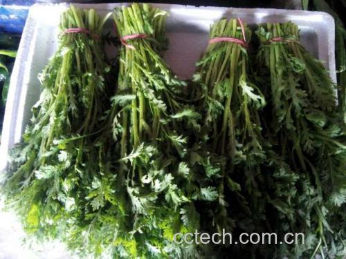 锅中炒制生菜与茼蒿的画面,锅气升腾,颜色鲜绿 锅中炒制生菜与茼蒿的画面,锅气升腾,颜色鲜绿