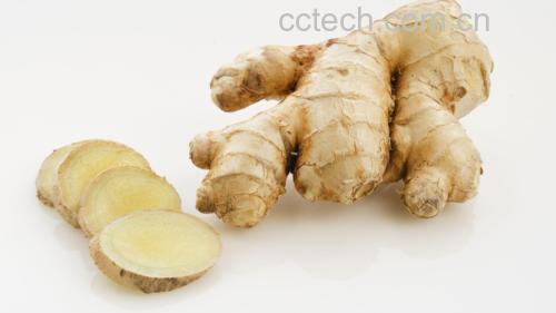 新鲜生姜切片展示其纤维结构与色泽 生姜切片特写