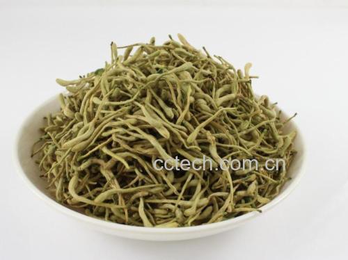 图片展示薄荷、金银花、菊花、绿豆等四种清热食材并列摆放,背景为绿色自然环境 清热解毒食材合集