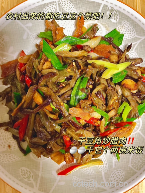 一盘热气腾腾的干豆角炒腊肉盛放在白色瓷盘中,深褐色的豆角与橙红色的腊肉交织在一起,表面泛着油亮光泽,旁边配有米饭和青菜,展现完整的家常餐场景 干豆角炒腊肉成品特写