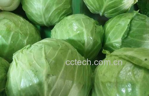 生菜蘸酱,桌上摆放几片翠绿的新鲜生菜和一碗浓郁酱料 生菜蘸酱配图