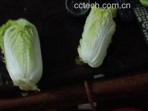 一家人在餐桌上开心地吃生菜蘸酱,孩子正在夹起一片生菜蘸酱 一家人围坐吃生菜蘸酱