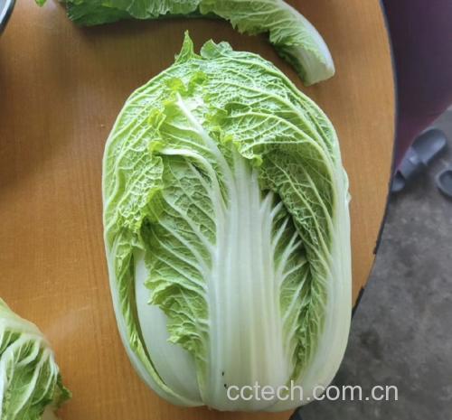 展示几种适合护肝的白菜食谱搭配 白菜健康食谱示意图