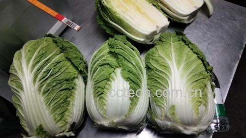 清炒白菜成品图,色泽翠绿,香气扑鼻 清炒白菜