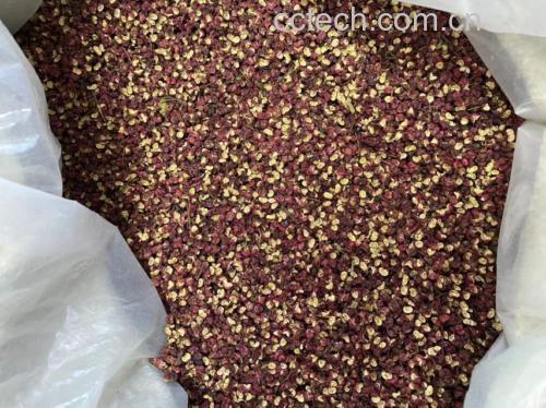 专业药材摄影:左上角为三年新会陈皮横切面特写(清晰可见密集油室与白色海绵层),右上角为大红袍花椒果实显微结构(表面疣状突起与腺点分布),下方为符合GMP标准的中药饮片包装袋(标注'></p><h2>四、品质鉴别要点:从农产品源头锁定功效保障</h2><p>选购时须验证三项核心指标:</p><ol><li><strong>陈皮</strong>:认准“新会茶枝柑”地理标志(GB/T 22047-2018),优质品折断有清脆声,断面油室透光可见金星,闻之清香带甜韵(劣质品有霉味或刺鼻酸味);</li><li><strong>花椒</strong>:首选甘肃武都“大红袍”(DB62/T 1998-2010),颗粒饱满、色泽紫红、麻味纯正(含山椒醇≥1.2%),搓揉后掌心留淡黄色油渍;</li><li><strong>配伍验证</strong>:优质组合煮出药汤呈淡琥珀色,静置10分钟析出细密油珠(证明挥发油与黄酮共溶成功),气味辛香微麻、无焦糊或陈腐气。</li></ol><p>现代农残检测显示:合规产地陈皮农药残留<0.01mg/kg(NY/T 761-2008),花椒黄曲霉毒素B1<5μg/kg(GB 2761-2022),安全性有国家抽检数据背书。</p><p><img src= 陈皮花椒水饮用药材原料对比图