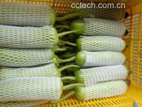 一碗色香味俱全的凉拌白菜丝,丝条分明,色泽诱人 成品凉拌白菜丝图