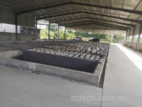 展示腌制完成的豆角成品,色泽鲜亮,盛放在盘中 腌豆角成品图