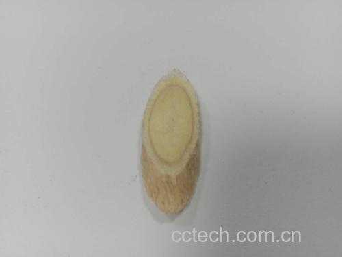 红景天与黄芪切片特写对比图,清晰展示颜色、纹理特征 红景天与黄芪药材对比图