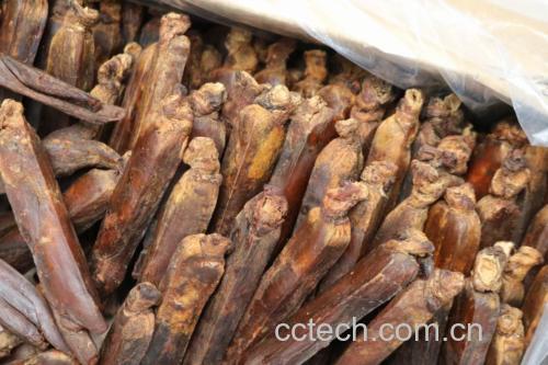 红参片与红参条实物对比展示图,清晰展示两种形态的差异 红参片与红参条对比图