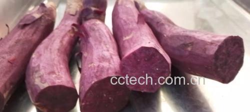 一名厨师正在用削皮刀为多个紫薯去皮,案板上有已去皮和未去皮的紫薯对比,旁边放置一碗淡盐水用于浸泡 紫薯清洗与去皮过程特写