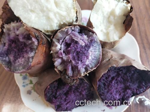 木质托盘上摆放四种紫薯美食:蒸紫薯段、紫薯泥、紫薯糯米球、紫薯酸奶杯,搭配绿叶点缀,展现丰富吃法 紫薯多种创意吃法拼盘展示