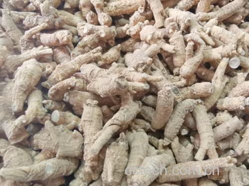 展示肉苁蓉与西洋参的实物对比,突出两种中药材的形态差异 肉苁蓉与西洋参对比图