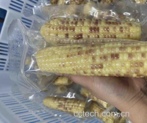 新鲜玉米与老化玉米的对比展示,突出颜色、颗粒紧实度差异 玉米选购对比图