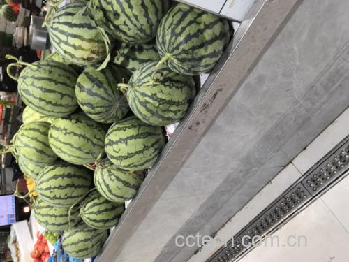 超市生鲜区货架上整齐摆放多个麒麟西瓜,标签注明价格与产地信息,顾客正在挑选,灯光照射下瓜皮光泽明显,背景有电子秤和工作人员 超市货架上的麒麟西瓜展示