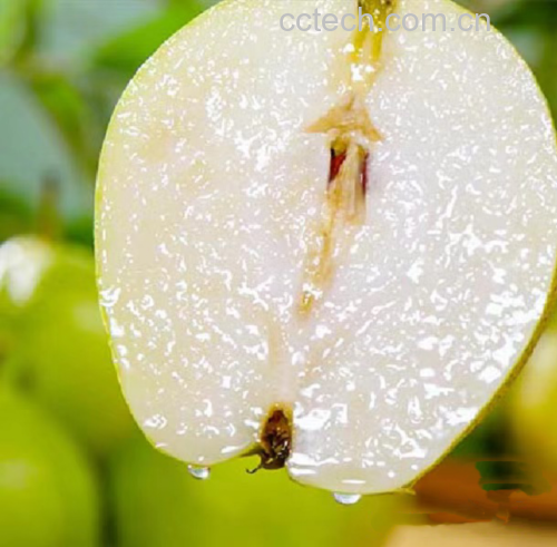 雪花梨果肉与糖分数据对比图,展示不同水果含糖量及雪花梨的占比 雪花梨果肉与糖分数据对比图