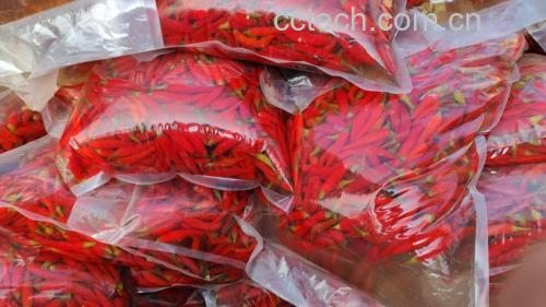泡制完成后的袋装小米椒泡菜成品特写,色泽鲜亮,辣椒红润饱满 泡菜成品展示图