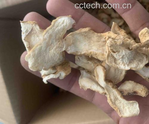 展示生地黄与熟地黄实物对比图片,左侧为生地黄,右侧为熟地黄 地黄对比图