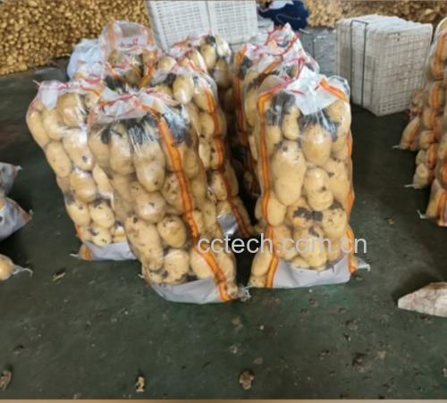 冷藏保存的土豆容器示意图