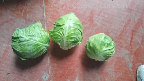 新鲜的紫甘蓝与鸡蛋摆放在案板上 紫甘蓝和鸡蛋的食材组合
