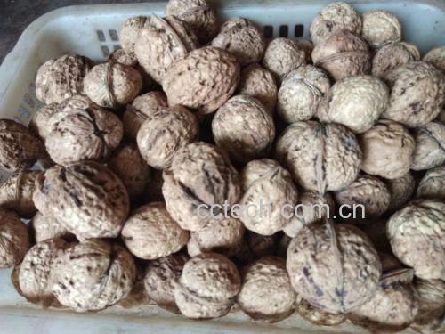 生活场景摄影:强调'></p><h2>四、实用指南:如何科学吃薄皮核桃才能最大化获益?</h2><ul><li>✅ <strong>最佳时段</strong>:早餐后30分钟或运动后即食——此时胰岛素敏感性高,利于ALA与多酚吸收;</li><li>✅ <strong>黄金配伍</strong>:搭配富含维生素C的食物(如猕猴桃、彩椒),可提升铁与多酚吸收率40%以上;</li><li>❌ <strong>禁忌搭配</strong>:避免与浓茶(单宁拮抗)、锌补充剂(植酸干扰)同服;</li><li>⚠️ <strong>储存要点</strong>:真空冷藏(0–4℃)保质期达6个月;常温下超过30天易发生脂质过氧化(TBARS值>2.0 mg MDA/kg即不宜食用);</li><li>📏 <strong>精准用量</strong>:健康成人每日30 g(带壳约4–5枚,去壳仁约24 g),过量(>50 g/d)可能引发腹泻(因高纤维与不饱和脂肪协同导泻)。</li></ul><p><img src= 手部特写:洁净手指剥开一枚完整薄皮核桃,露出带淡琥珀色仁衣的饱满核桃仁,背景为木质砧板与玻璃量勺(标有30g刻度)