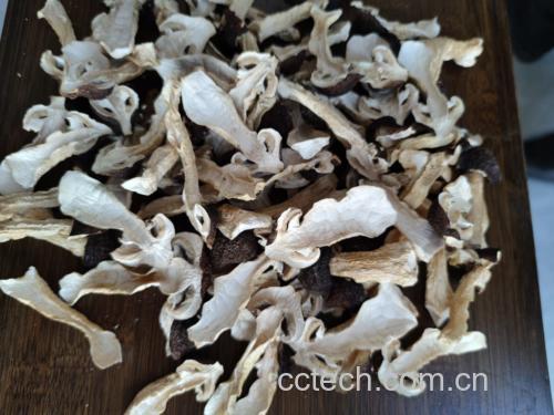 展示处理好的白菜、香菇、胡萝卜、粉丝和豆腐干在案板上摆放整齐,准备混合搅拌 白菜与香菇胡萝卜粉丝豆腐干混合图