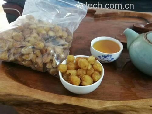 分心木泡水示意图