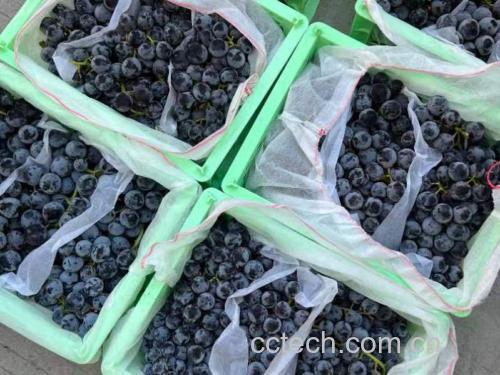 一位母亲在厨房里为孩子准备新鲜葡萄作为健康零食 孩子吃葡萄