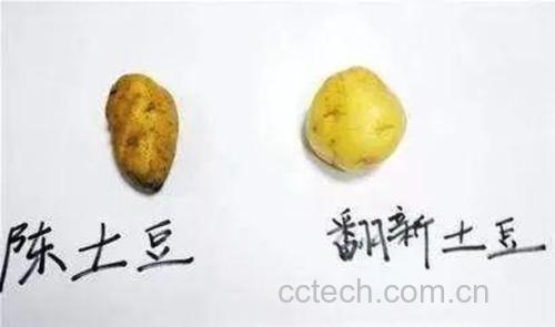 高清俯拍对比图:左侧为完整带皮蒸土豆(表皮光滑湿润、浅黄色果肉),右侧为同规格带皮烤土豆(表皮金黄微皱、边缘略焦脆、果肉呈均匀淡奶油色;两者均未添加油盐,置于白色陶瓷盘中,背景为木质料理台,尺子标注10cm刻度以示大小比例 蒸土豆与烤土豆实物对比图