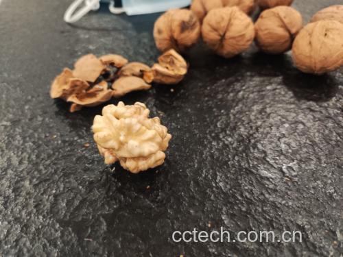 纸皮核桃果仁状态对比图