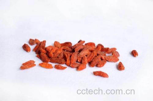 一颗颗饱满红润的枸杞堆放在白色背景上,表面光滑有光泽 枸杞特写图