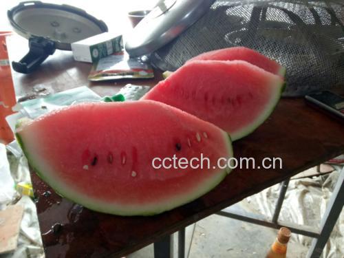 一颗新鲜切开的无籽西瓜,露出红润多汁的果肉 无籽西瓜特写