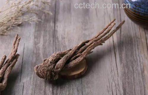 展示浙贝母与知母两种中药材的实物对照图,背景为传统中药柜 浙贝母与知母药材图