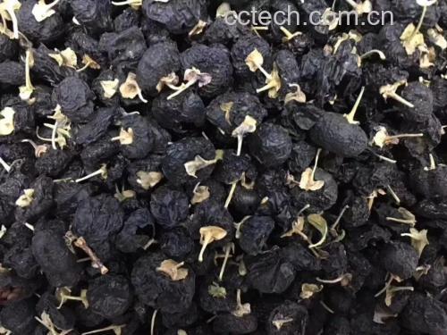 干燥的黑枸杞果实呈紫黑色,颗粒饱满,表面有轻微皱缩,散落在白色陶瓷盘中,背景为自然光下的厨房环境 黑枸杞干果特写